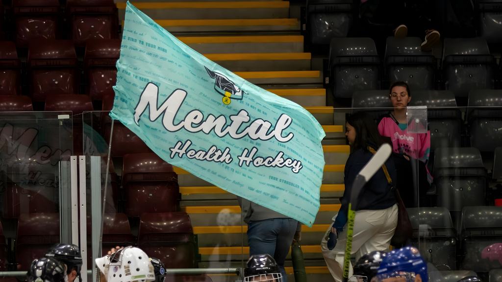 Design Your Own Custom Flag!