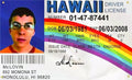 Mclovin ID Flag- Fully Customisable
